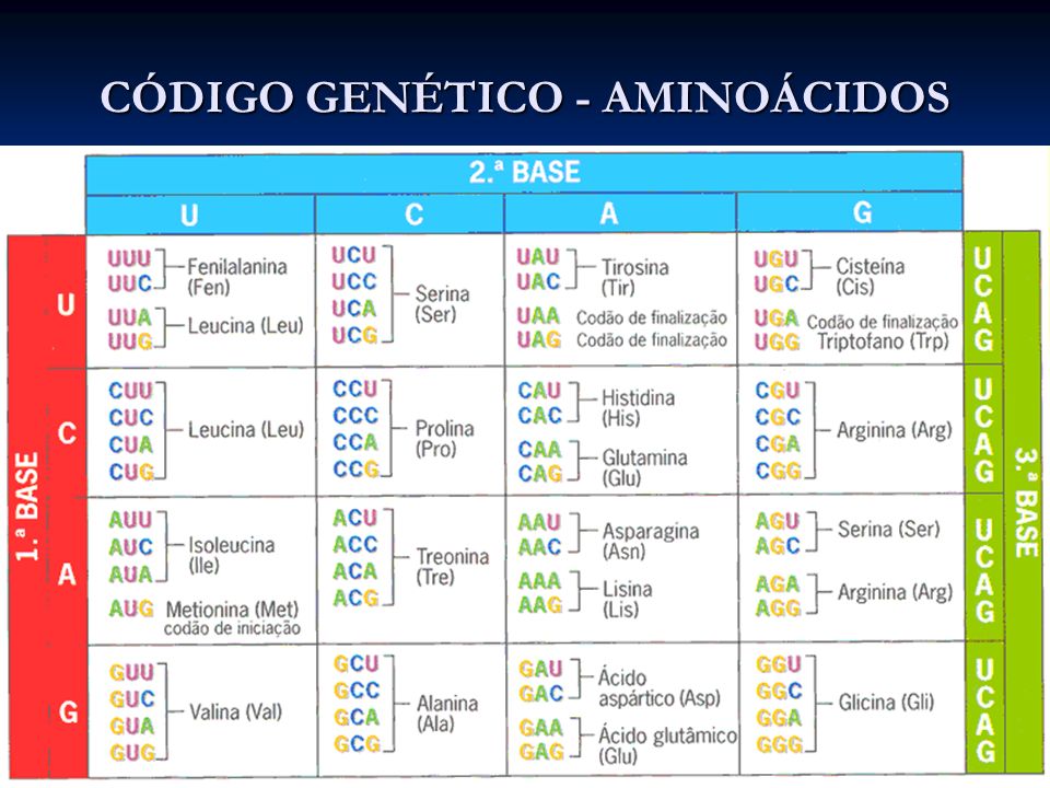 Fig3: Código genético