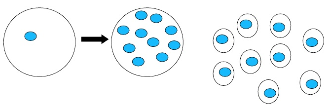 Fig12: Divisão Múltipla