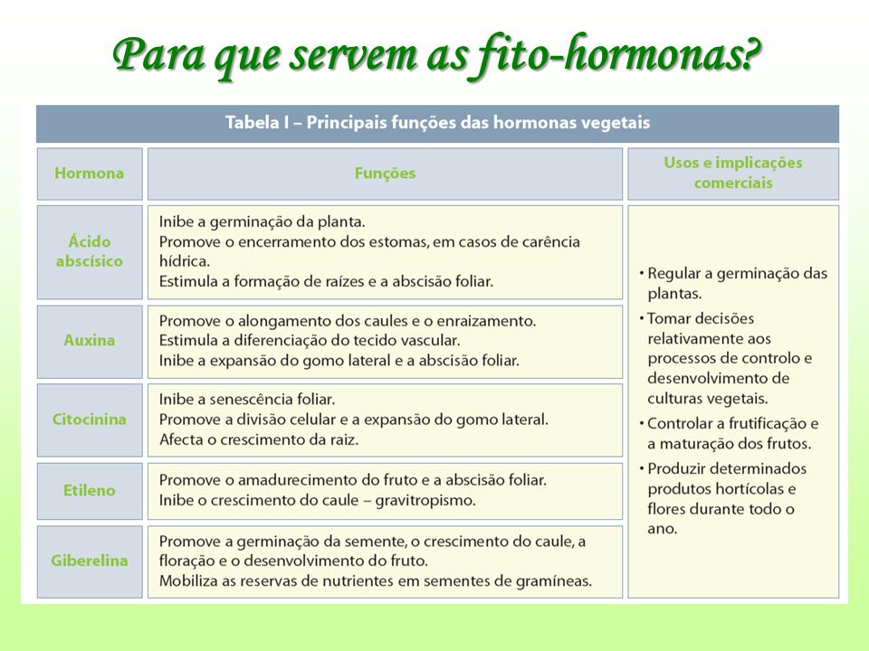 Fig22: Fitohormonas e as consequências nas plantas da sua produção