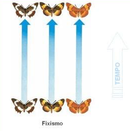 Fig46: Teoria do Fixismo