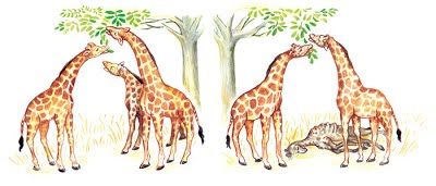 Fig50: Darwinismo (seleção natural)