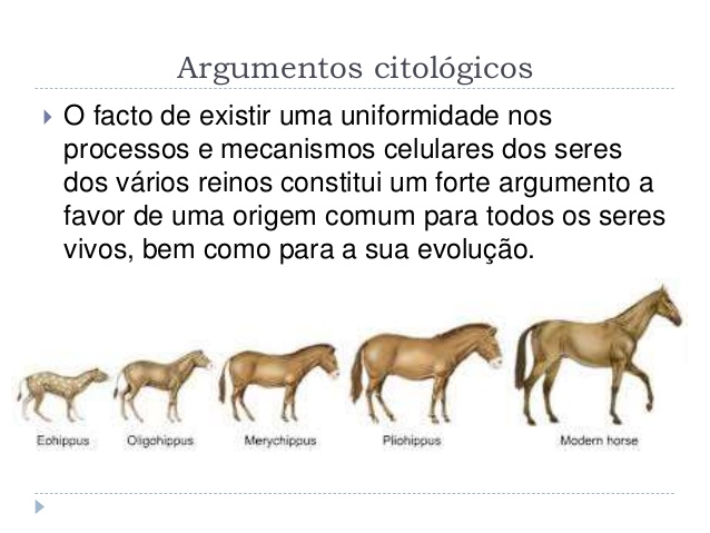 Fig56: Citologia e o seu contributo no evolucionismo