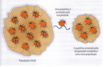 Fig61: Efeito fundador