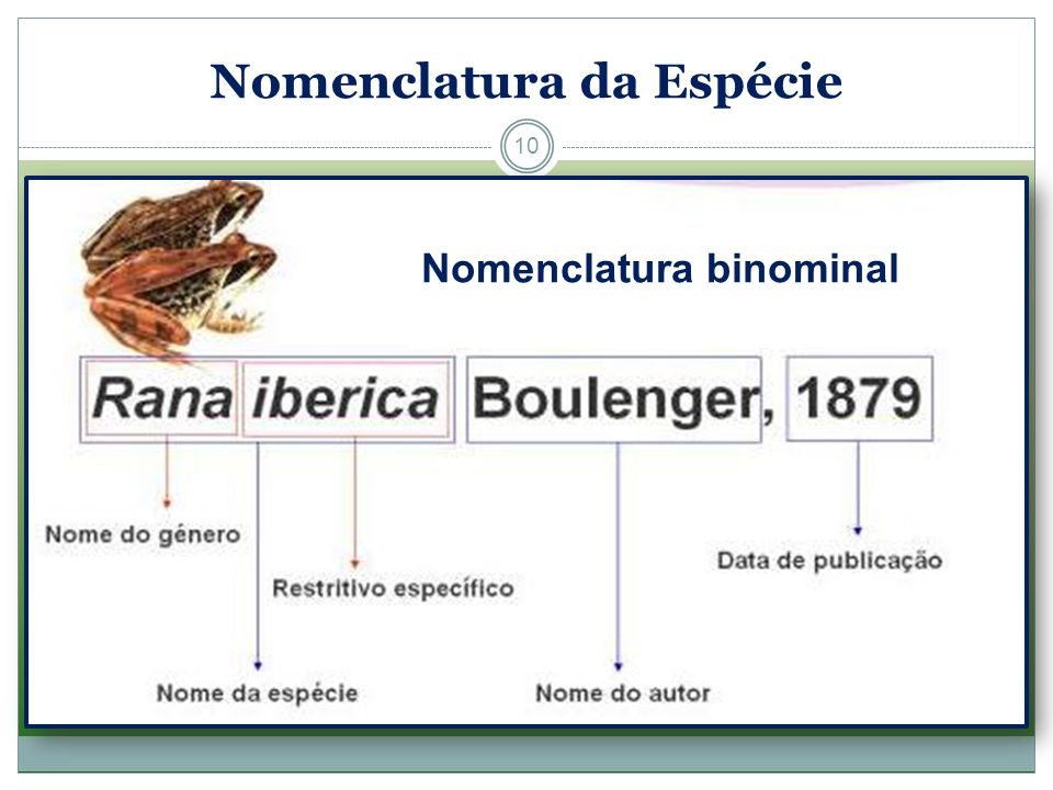 Fig75: Nomenclatura 