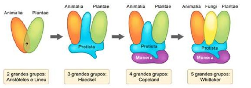 Fig76: Evolução dos sistemas de classificação