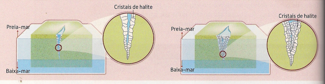 Fig16: Haloclastia