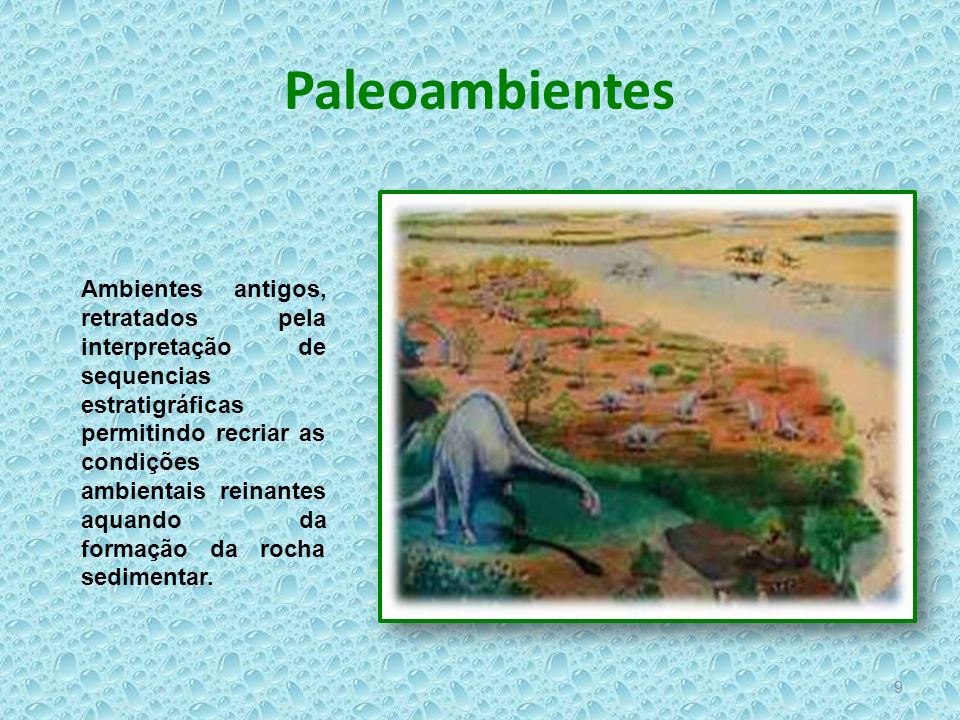 Fig44: Paleoambiente