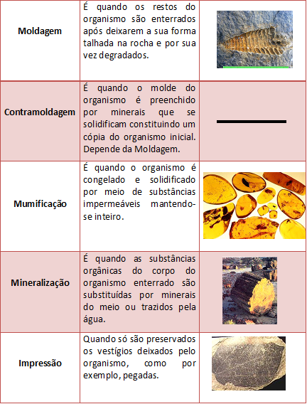 Fig45: Processos de fossilização