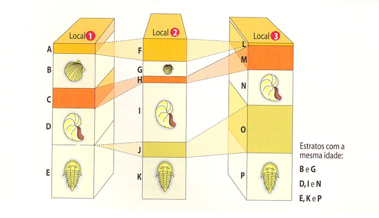 Fig53: Princípio da identidade paleontológica