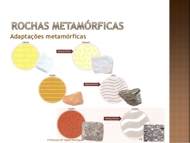 Fig78: Exemplos de adaptações metamórficas