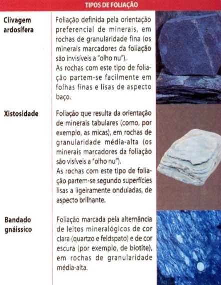 Fig81: Tipos de foliação