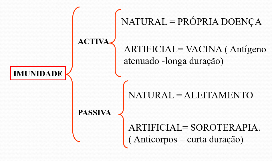 Fig.26: Imunidade adquirida