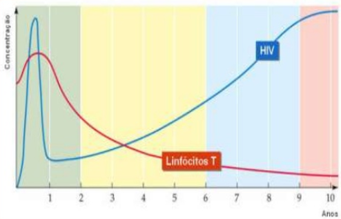 Fig.37: Concentração de linfócitos T e de HIV ao longo do tempo